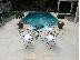 PoulaTo: Τραπέζια κήπου Παλαιό Φάληρο 2II 0I 26 938 Garden Tables Palaio Faliro Trapezia Kipou Pala...